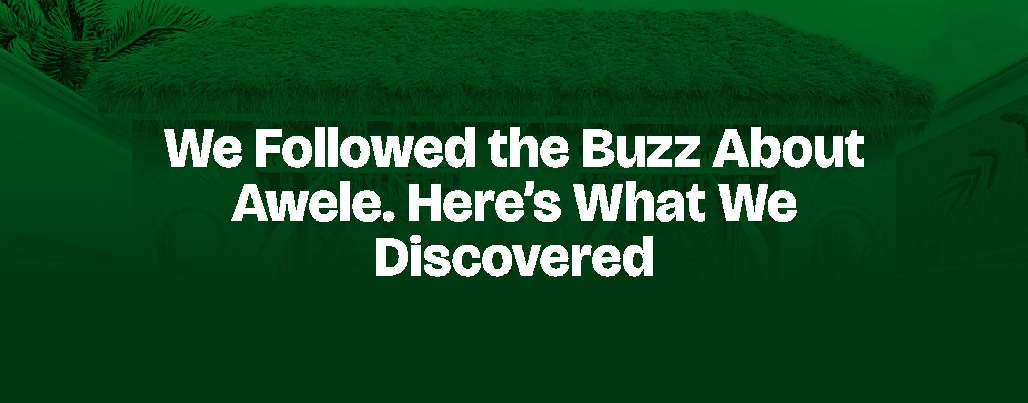 You are currently viewing We Followed the Buzz About Awele. Here’s What We Discovered
