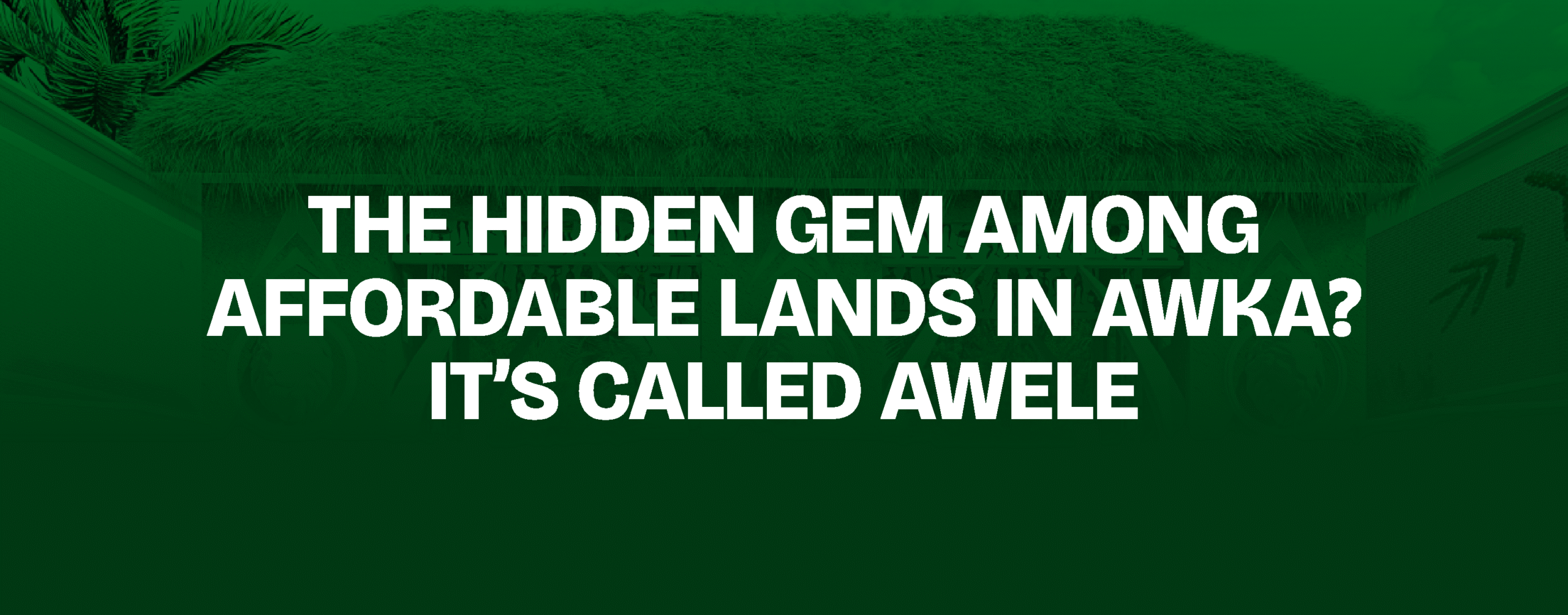 You are currently viewing The Hidden Gem Among Affordable Lands in Awka? It’s Called Awele