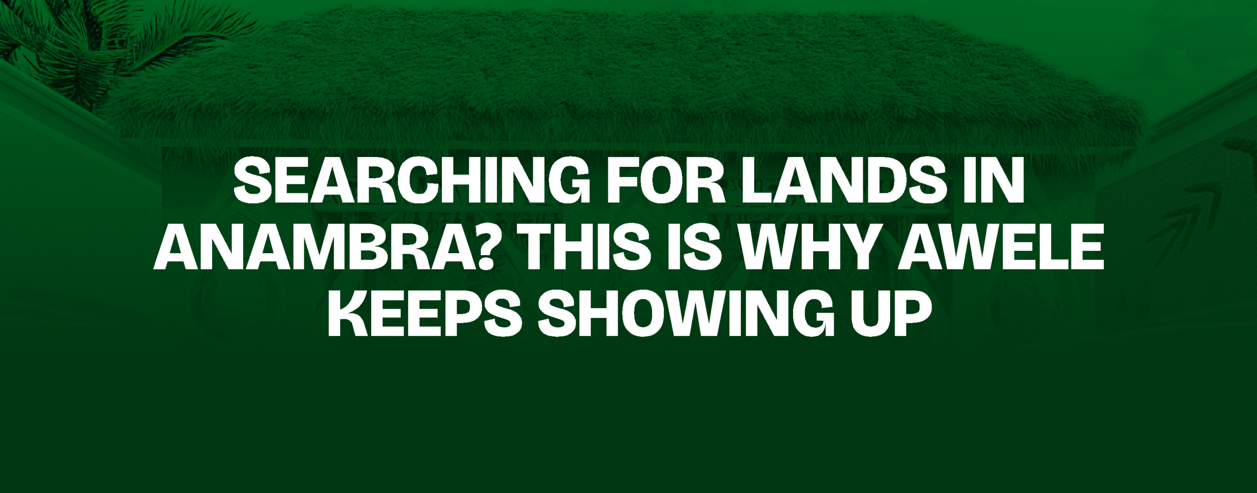 You are currently viewing  Searching for Lands in Anambra? This Is Why Awele Keeps Showing Up
