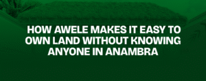 Read more about the article  How Awele Makes It Easy to Own Land Without Knowing Anyone in Anambra