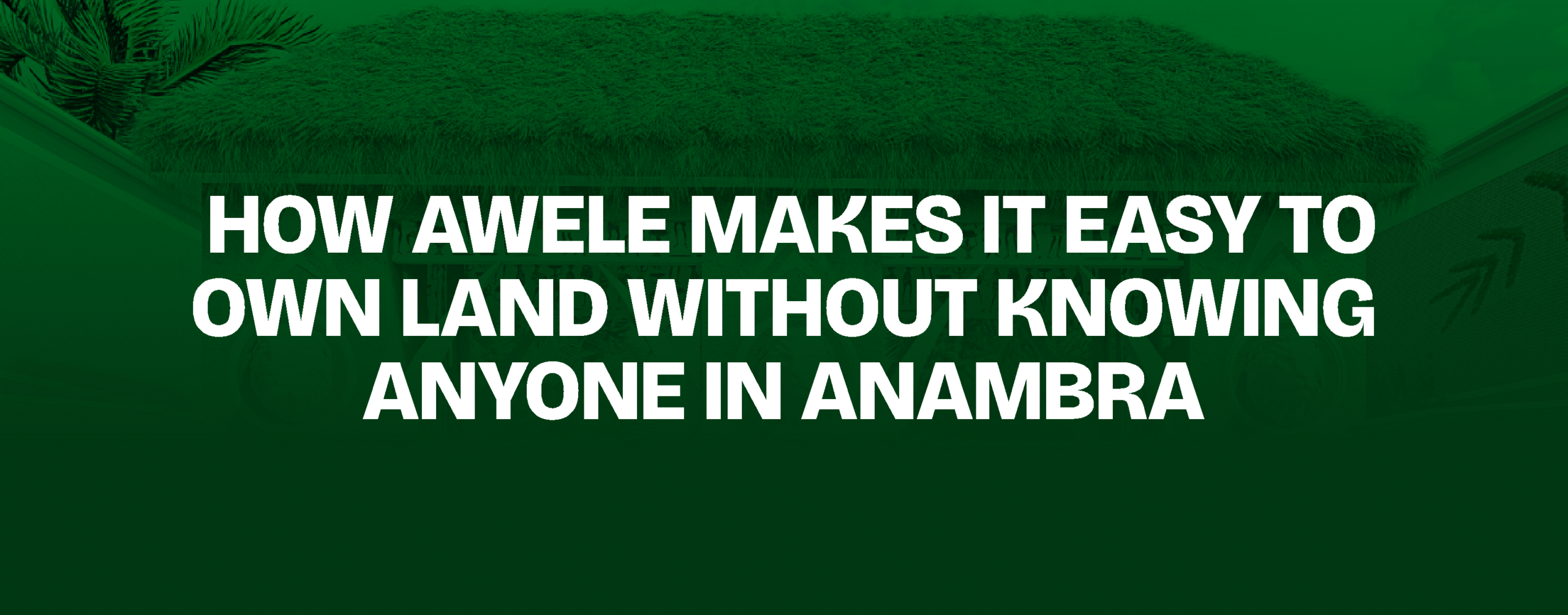 Read more about the article  How Awele Makes It Easy to Own Land Without Knowing Anyone in Anambra