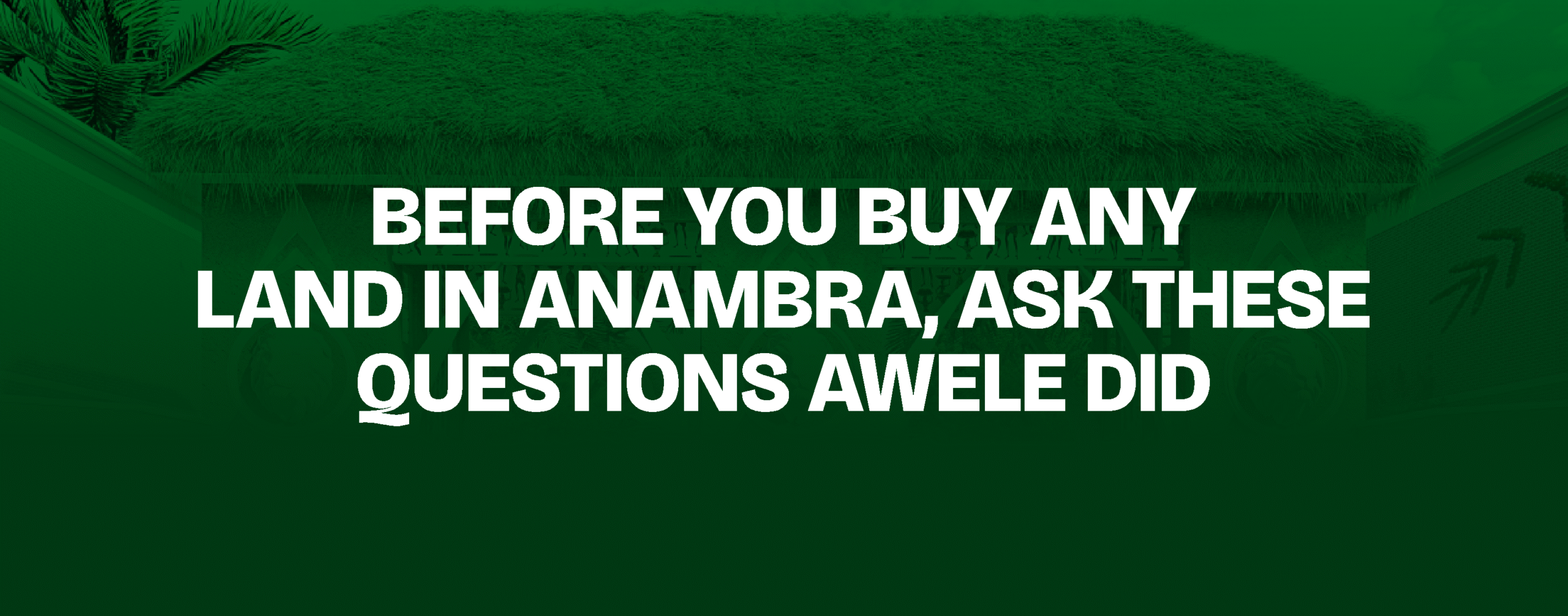 You are currently viewing  Before You Buy Any Land in Anambra, Ask These Questions — Awele Did