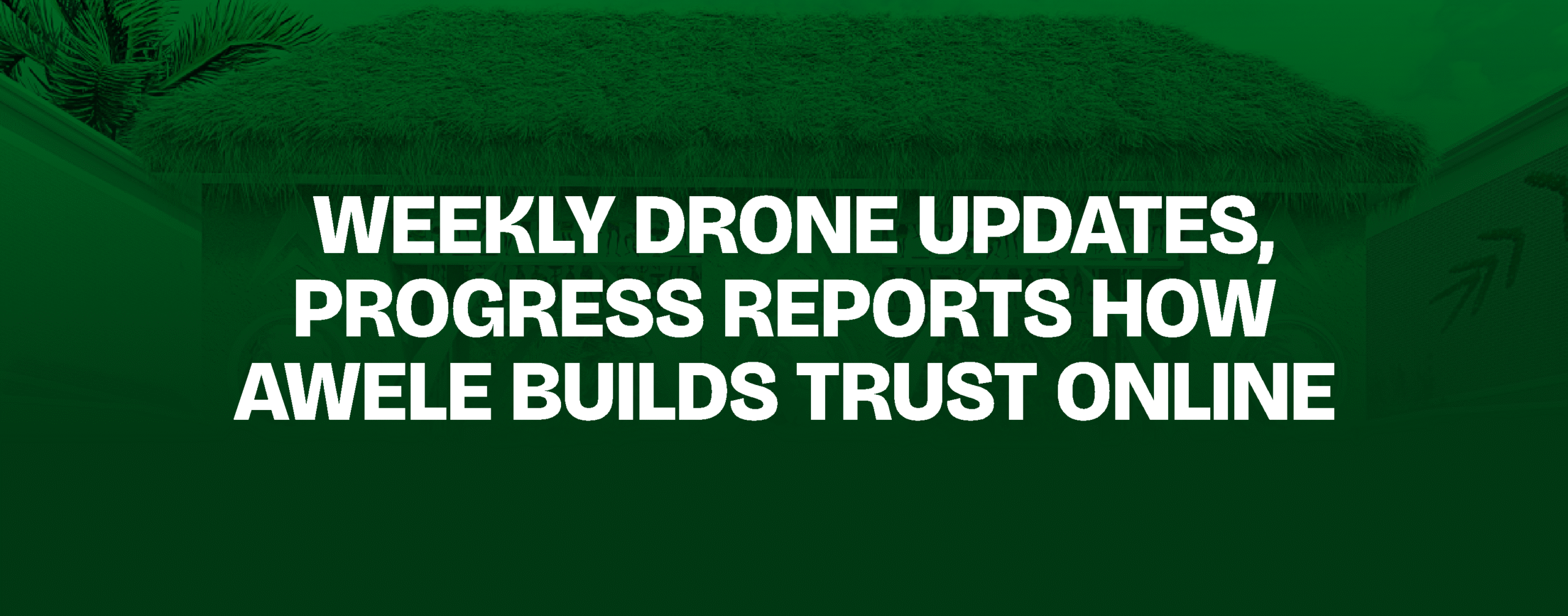 You are currently viewing Weekly Drone Updates, Progress Reports — How Awele Builds Trust Online
