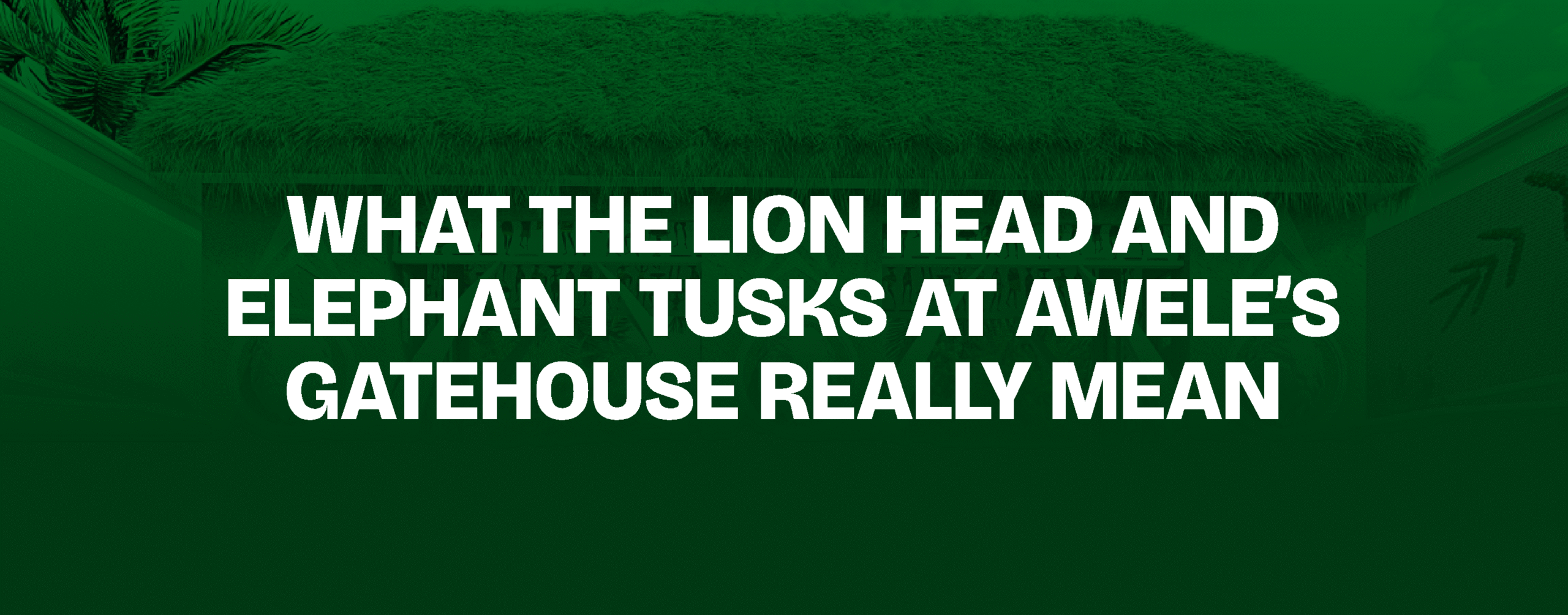 You are currently viewing What the Lion Head and Elephant Tusks at Awele’s Gatehouse Really Mean
