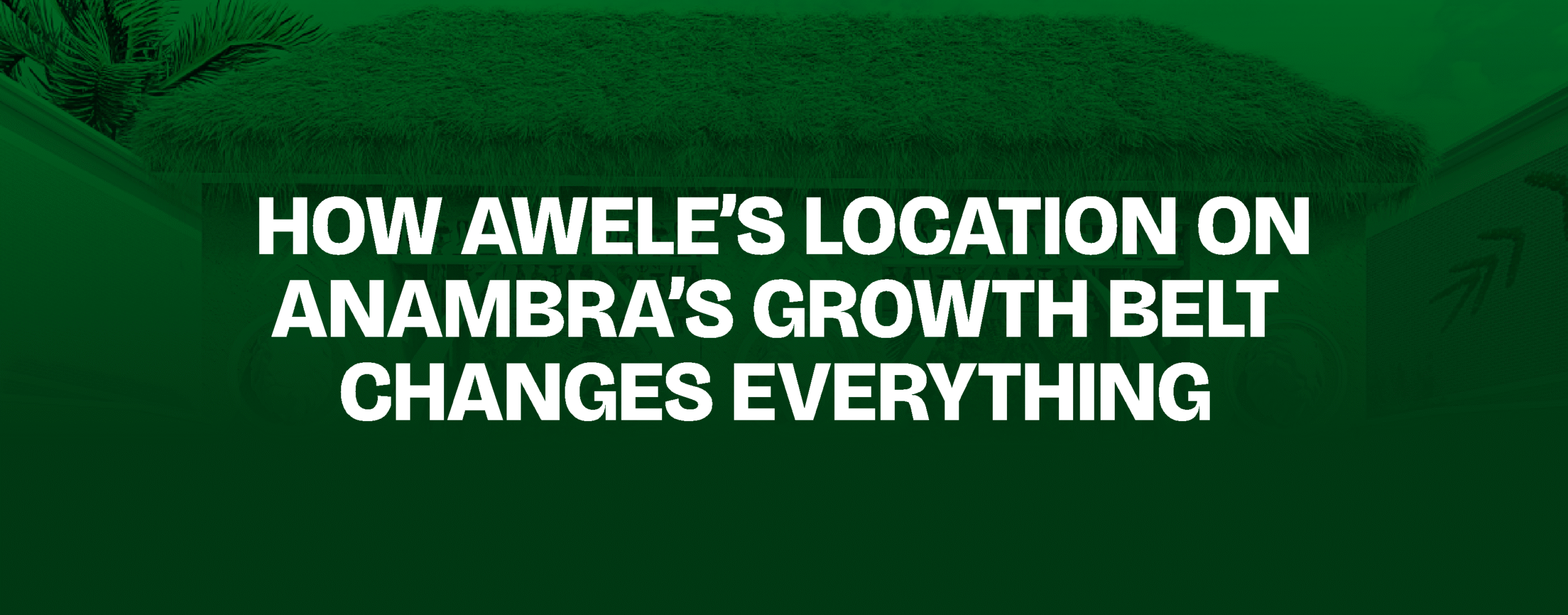 You are currently viewing How Awele’s Location on Anambra’s Growth Belt Changes Everything