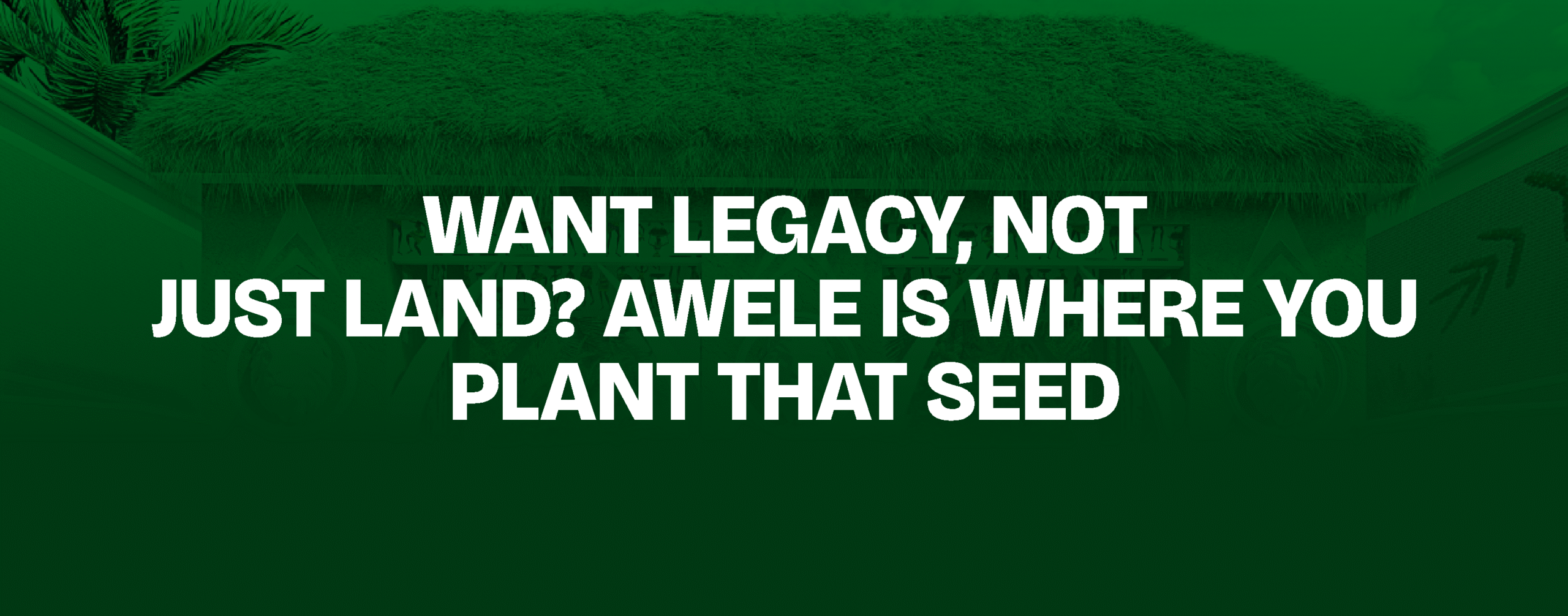 You are currently viewing Want Legacy, Not Just Land? Awele Is Where You Plant That Seed