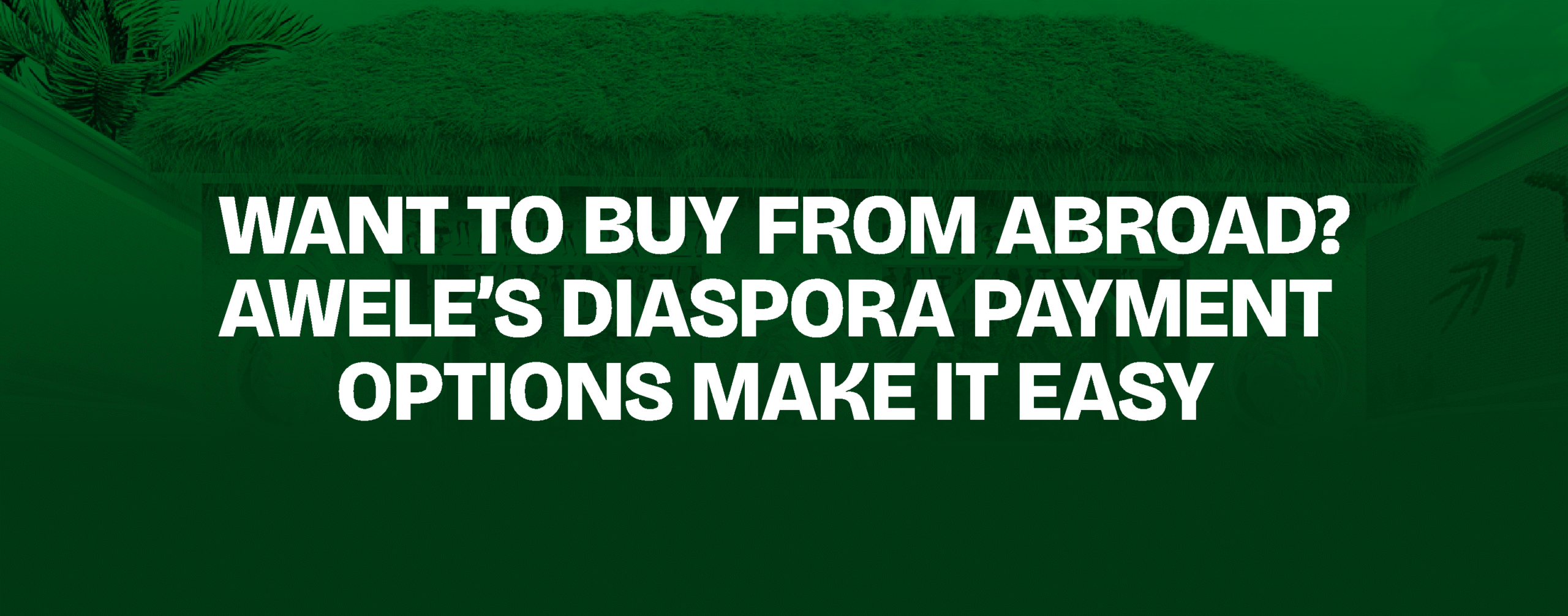 Read more about the article Want to Buy from Abroad? Awele’s Diaspora Payment Options Make It Easy