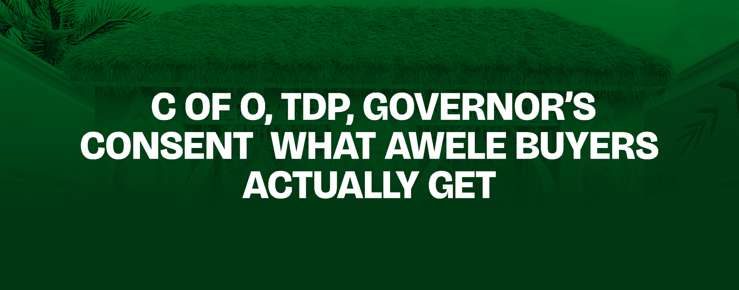 You are currently viewing C of O, TDP, Governor’s Consent — What Awele Buyers Actually Get
