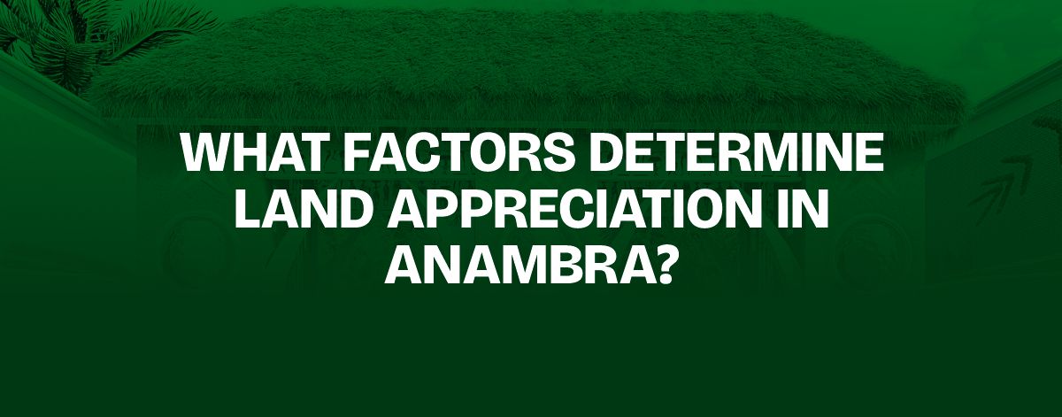 You are currently viewing What Factors Determine Land Appreciation in Anambra?