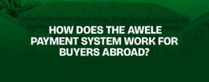 Read more about the article How Does the Awele Payment System Work for Buyers Abroad?