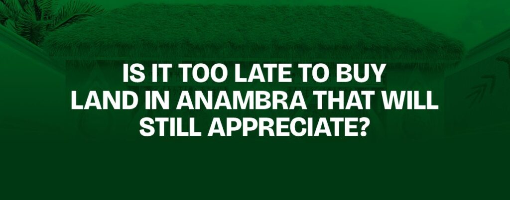 Is It Too Late to Buy Land in Anambra That Will Still Appreciate?